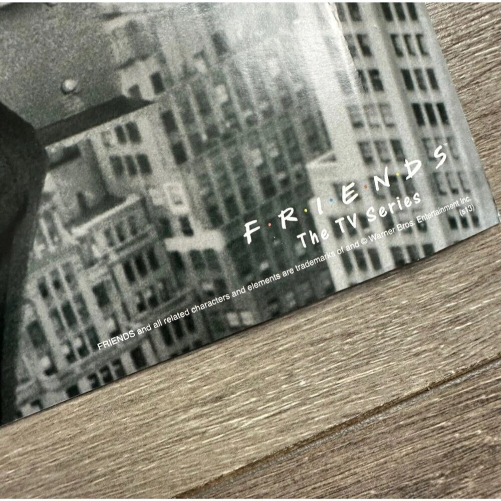Y2K Friends TV Show Poster New York City Lunch Atop a Skyscraper 36x12 Rolled - Picture 3 of 7